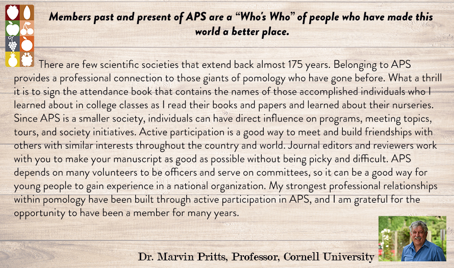 Marvin Pritts explains why he is an APS member!